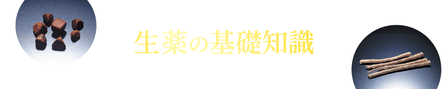 生薬の基礎知識