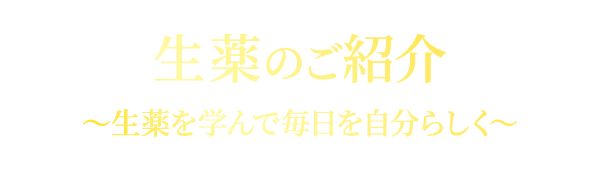 生薬のご紹介〜生薬を学んで毎日を自分らしく〜