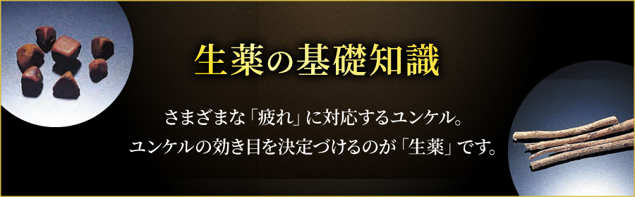 生薬の基礎知識