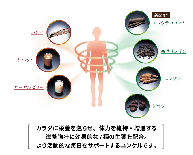カラダに栄養を巡らせ、体力を維持・増進する滋養強壮に効果的な７種の生薬を配合。より活動的な毎日をサポートするユンケルです。