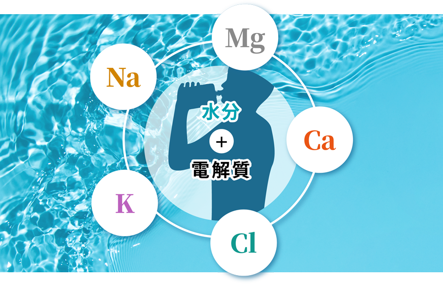 水分 + 電解質