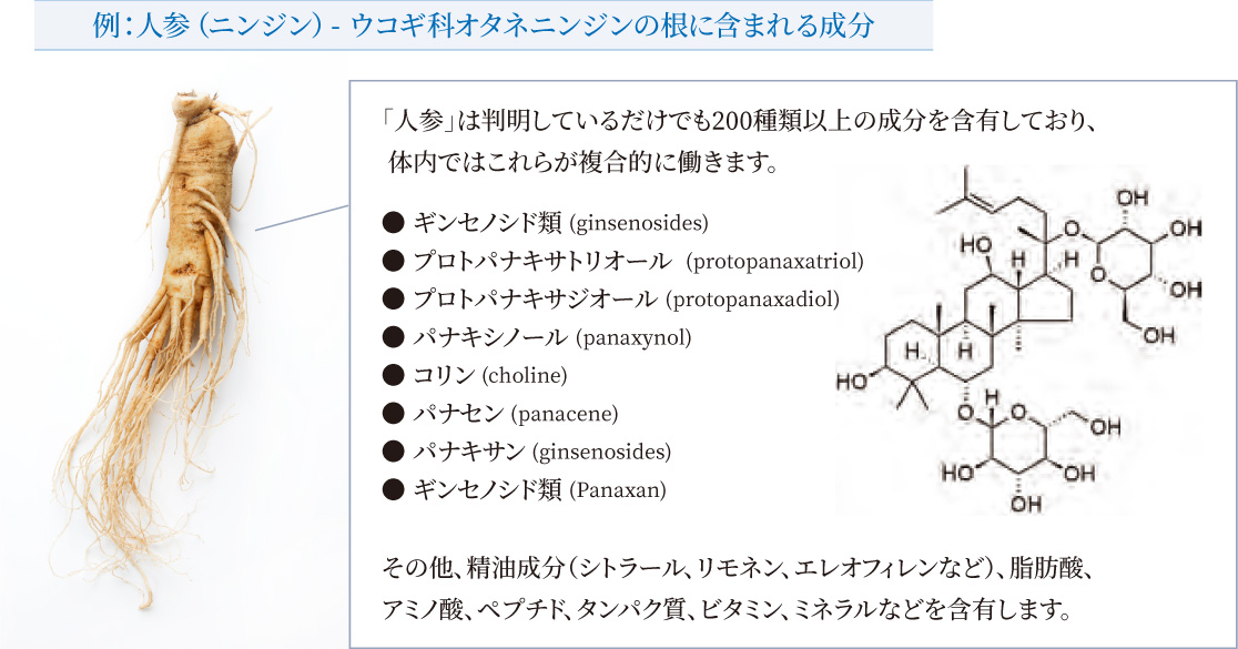 生薬の成分とその働き