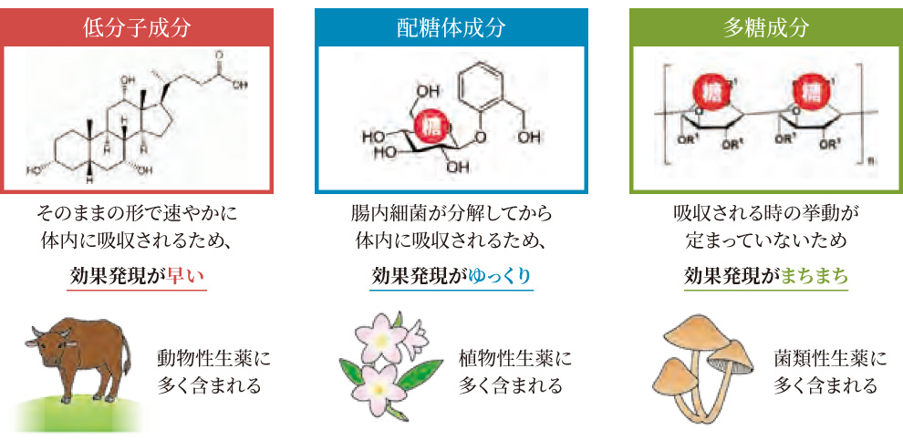 生薬の成分と効果発現の目安