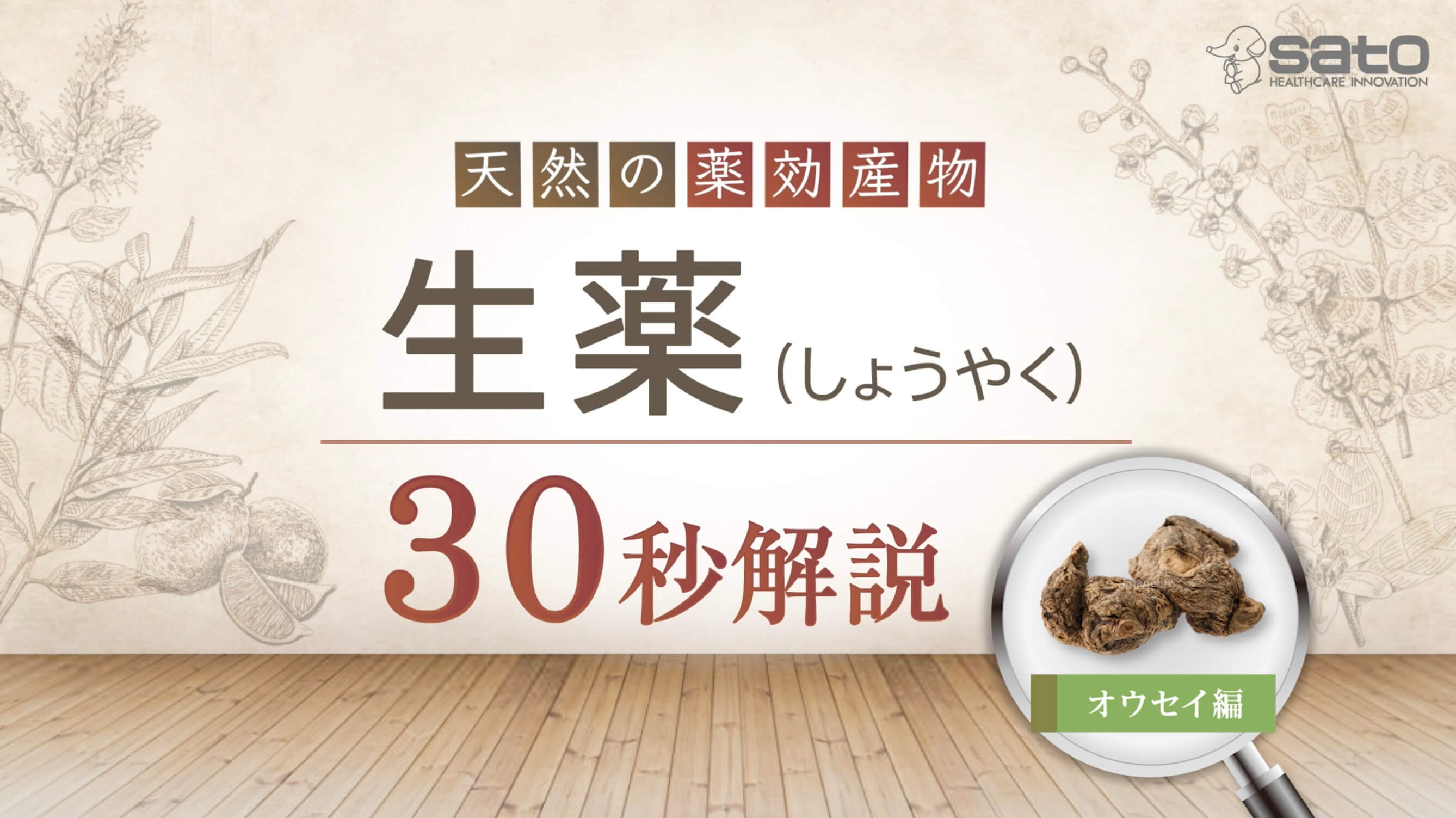 オウセイ - ユンケル 疲れや風邪を引いた時の栄養ドリンク 佐藤製薬
