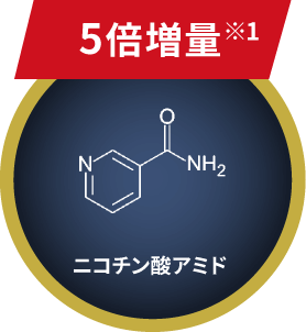 5倍増量 ニコチン酸アミド